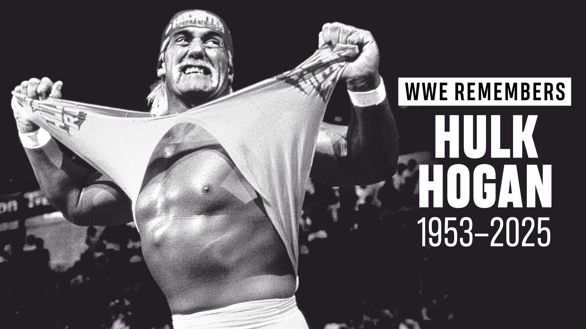 Fans Invited to Candlelight Vigil for Hulk Hogan at The Wrestling Collector in New Jersey
